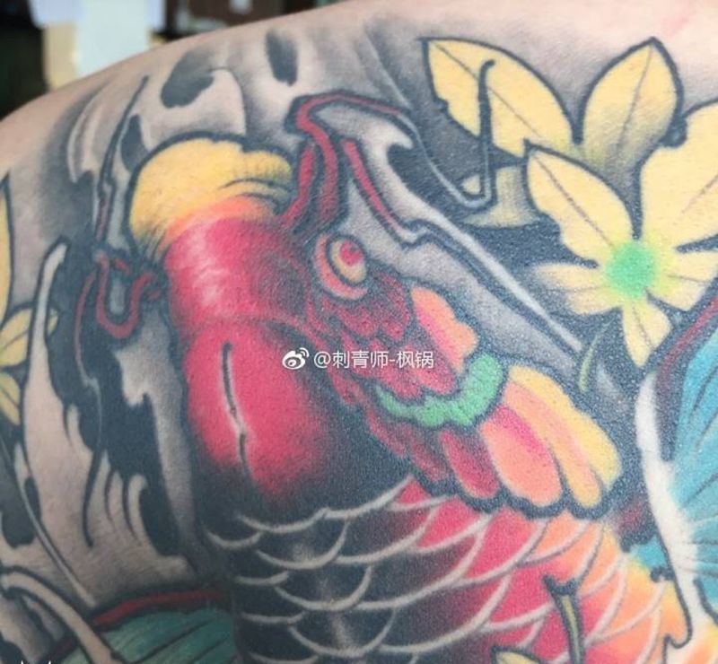 鲤鱼恢复一年多效果纹身图片_背部肩部新传统纹身图案