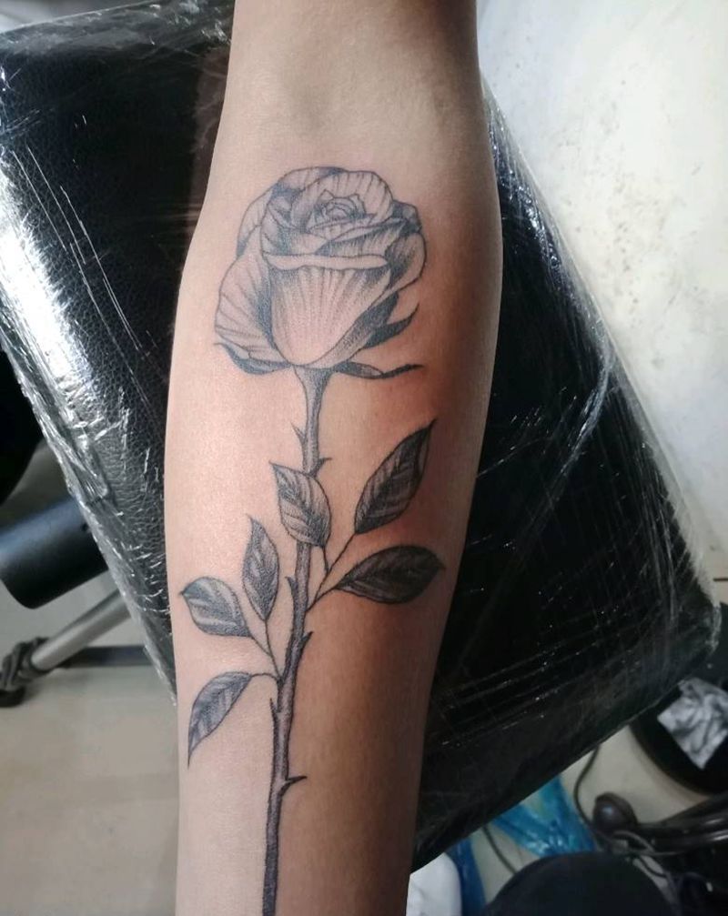 玫瑰纹身图片_背部手臂欧美写实点刺玫瑰花纹身图案