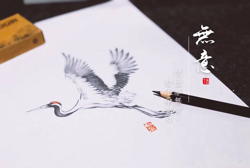 鹤纹身图片_肩部纹身图案