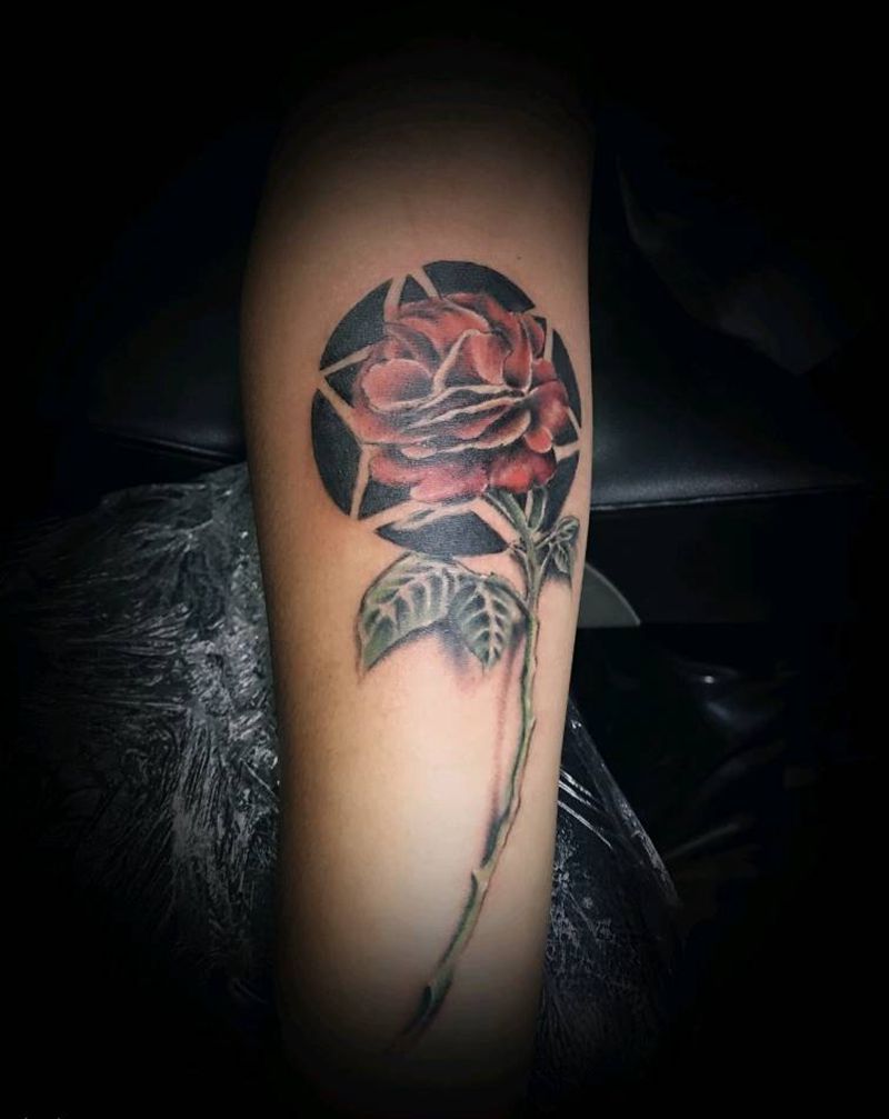 玫瑰纹身图片_手臂纹身图案