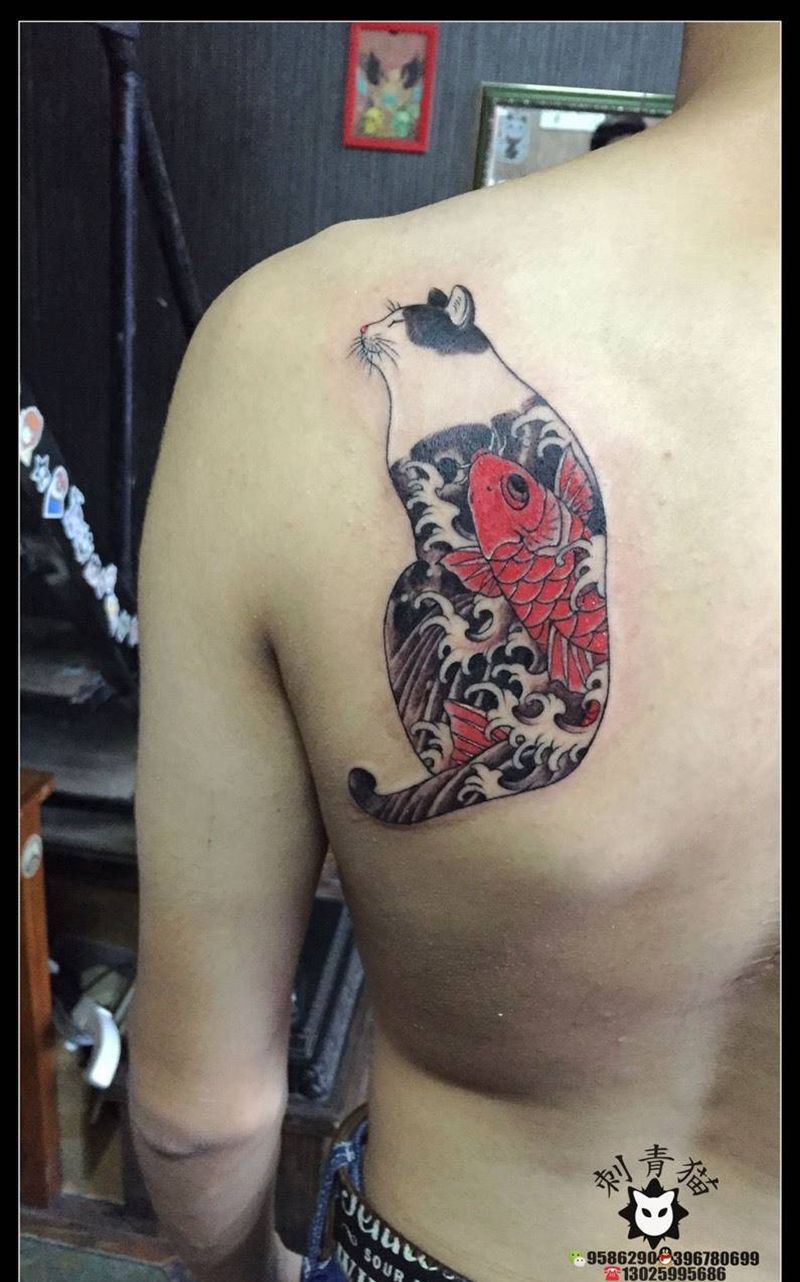 刺青猫纹身图片_成品肩部传统清新动物猫咪纹身图案