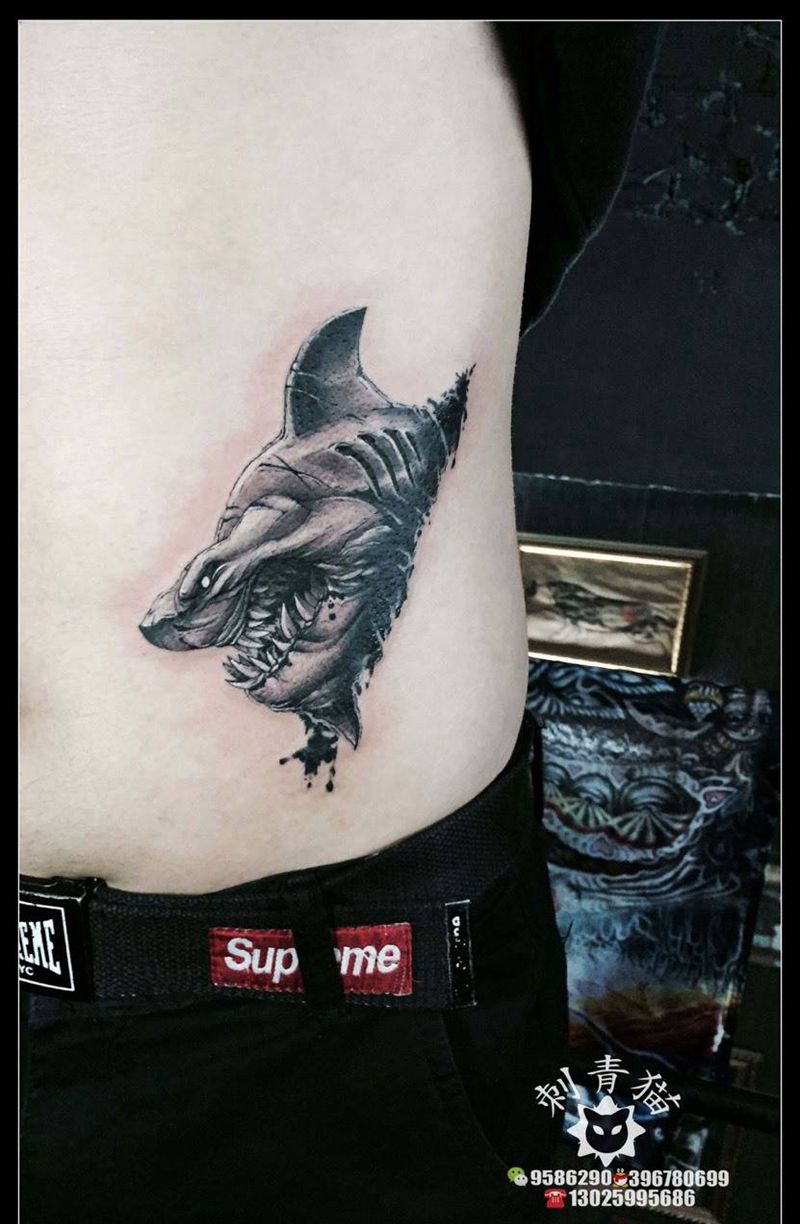 鲨鱼纹身图片_成品腹部腰部欧美清新动物鲨鱼纹身图案