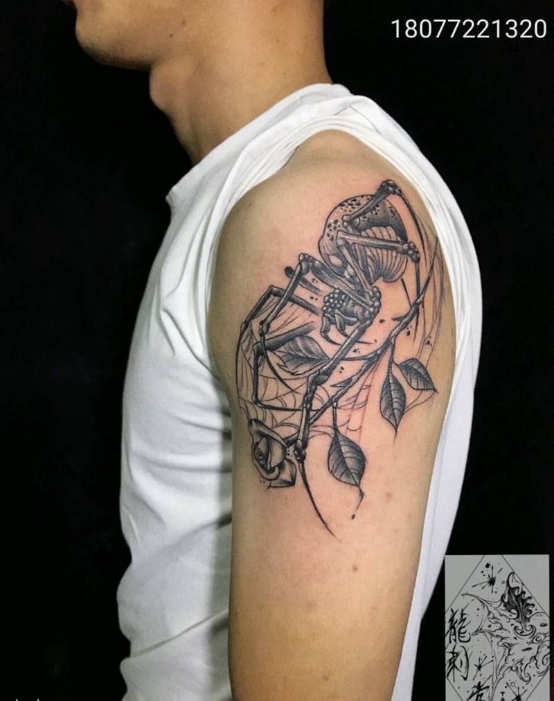 蜘蛛纹身图片_手臂蜘蛛纹身图案