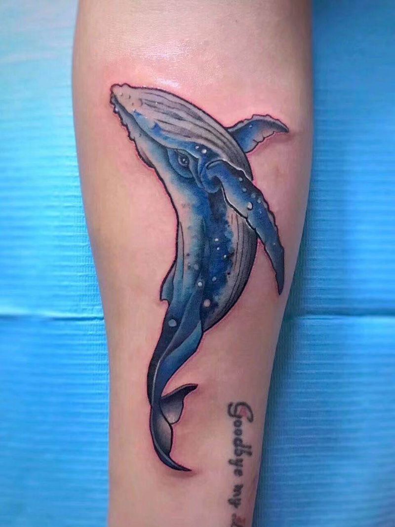 彩色鲸鱼纹身图片