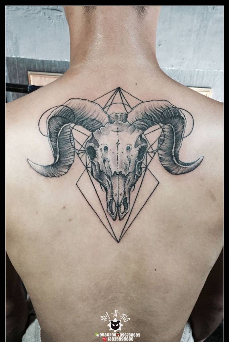 羊头纹身图片_成品背部欧美清新动物纹身图案