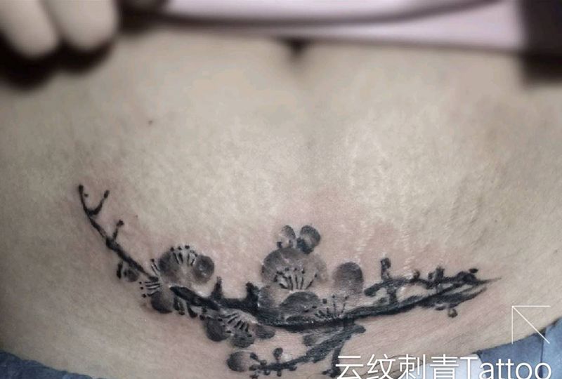 疤痕遮盖纹身图片_腹部纹身图案