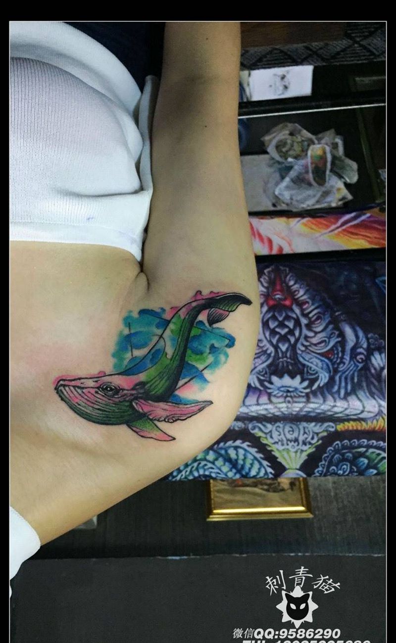 鲸鱼纹身图片_成品肩部欧美清新动物纹身图案