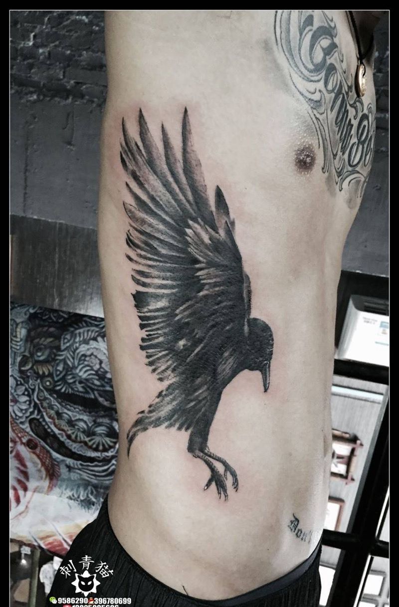乌鸦纹身图片_成品腹部腰部欧美清新动物纹身图案