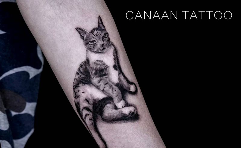 喵喵喵纹身图片_手臂欧美写实纹身图案