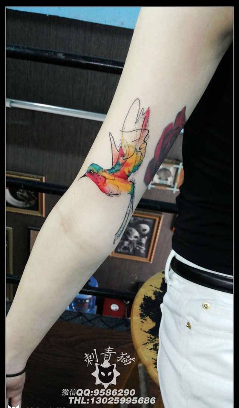 蜂鸟纹身纹身图片_手臂手部成品欧美动物纹身图案