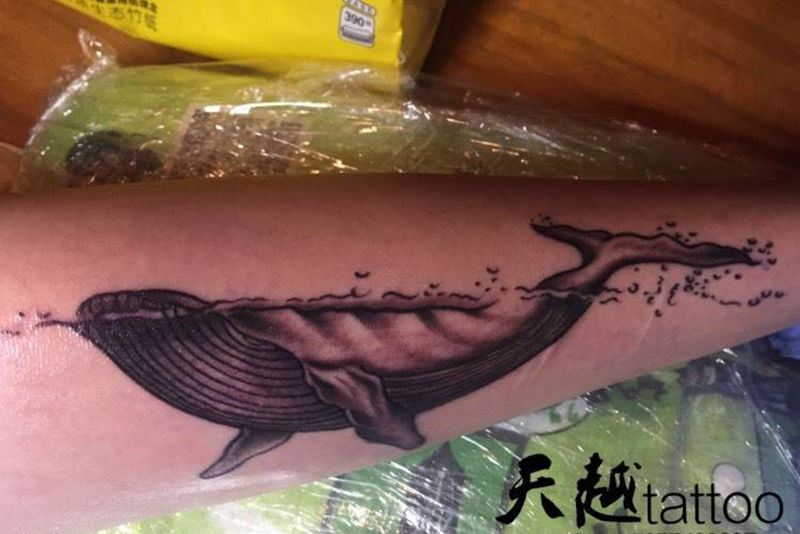 鲸鱼纹身图片
