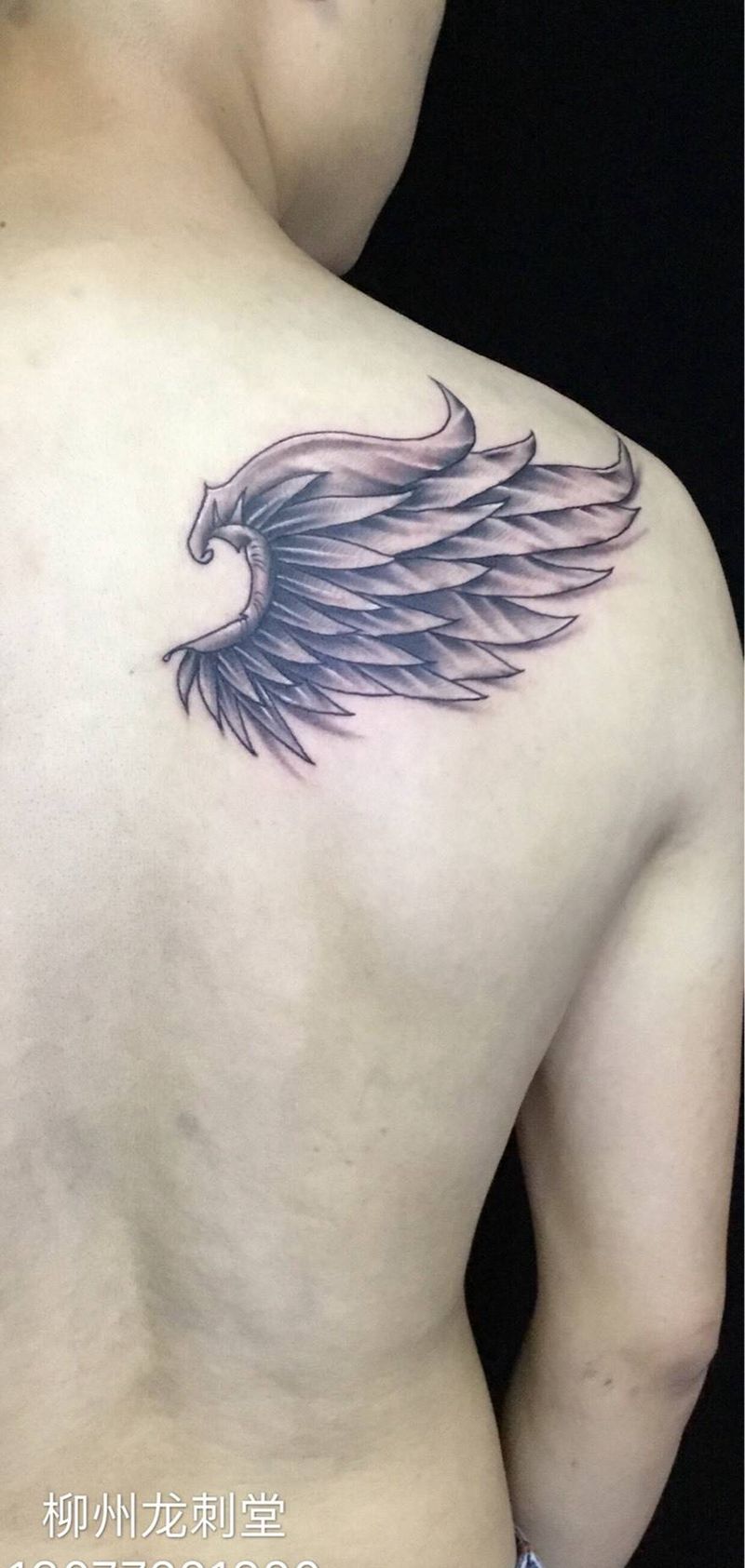 翅膀纹身图片