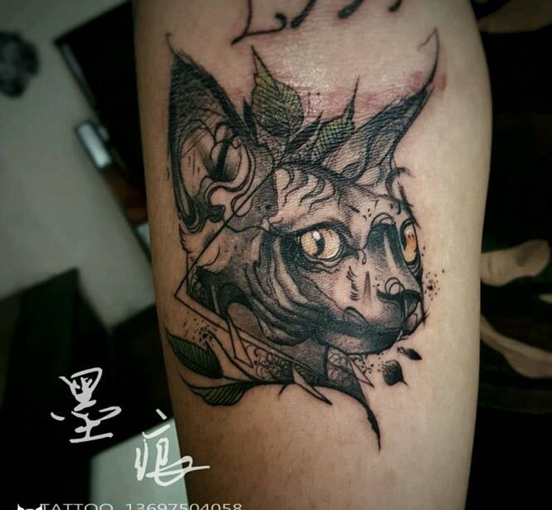 无毛猫纹身图片_手臂手部欧美动物成品纹身图案