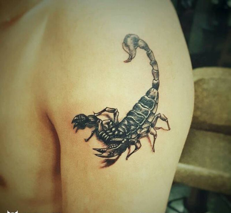 蝎子纹身图片_欧美动物成品纹身图案
