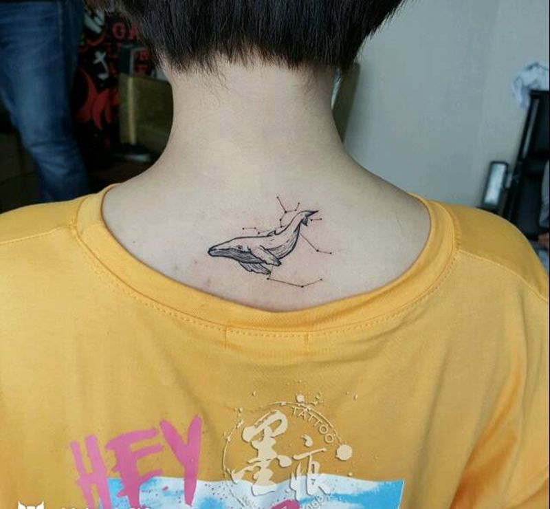 鲸纹身图片