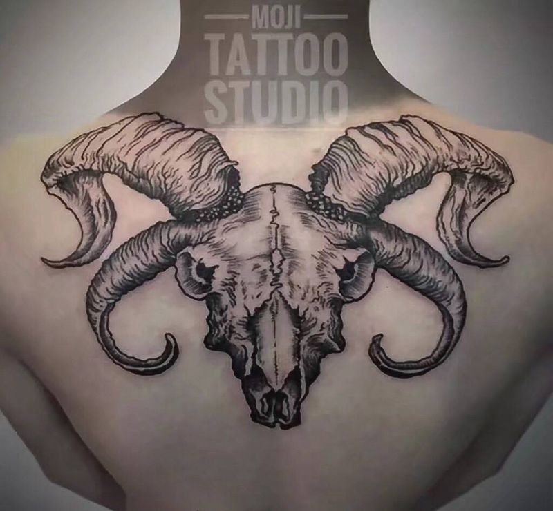 线条羊头骨纹身图片