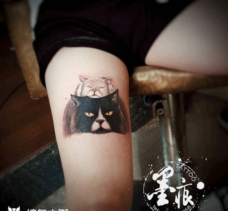 猫纹身图片
