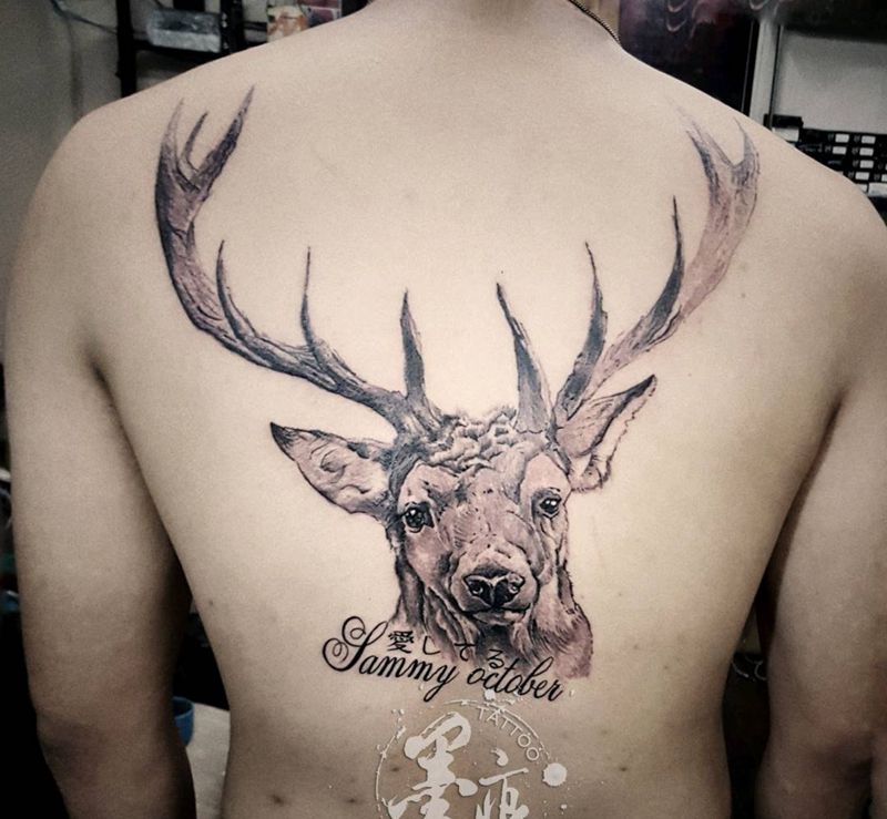 鹿纹身图片_背部欧美写实动物原创成品纹身图案