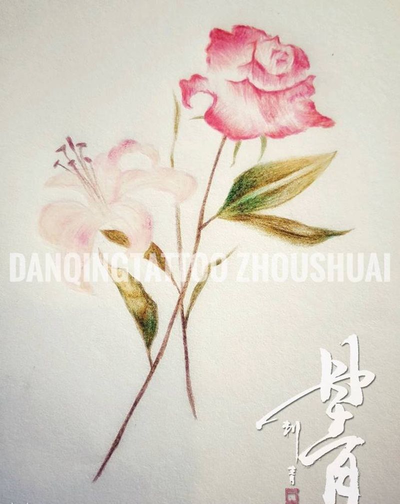 花纹身图片_背部清新植物手稿纹身图案