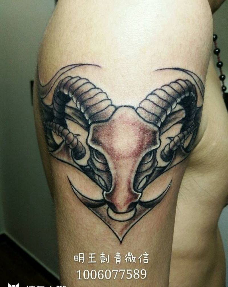 小牛头纹身图片