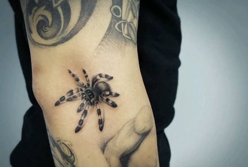 蜘蛛纹身图片_手臂写实动物蜘蛛成品纹身图案