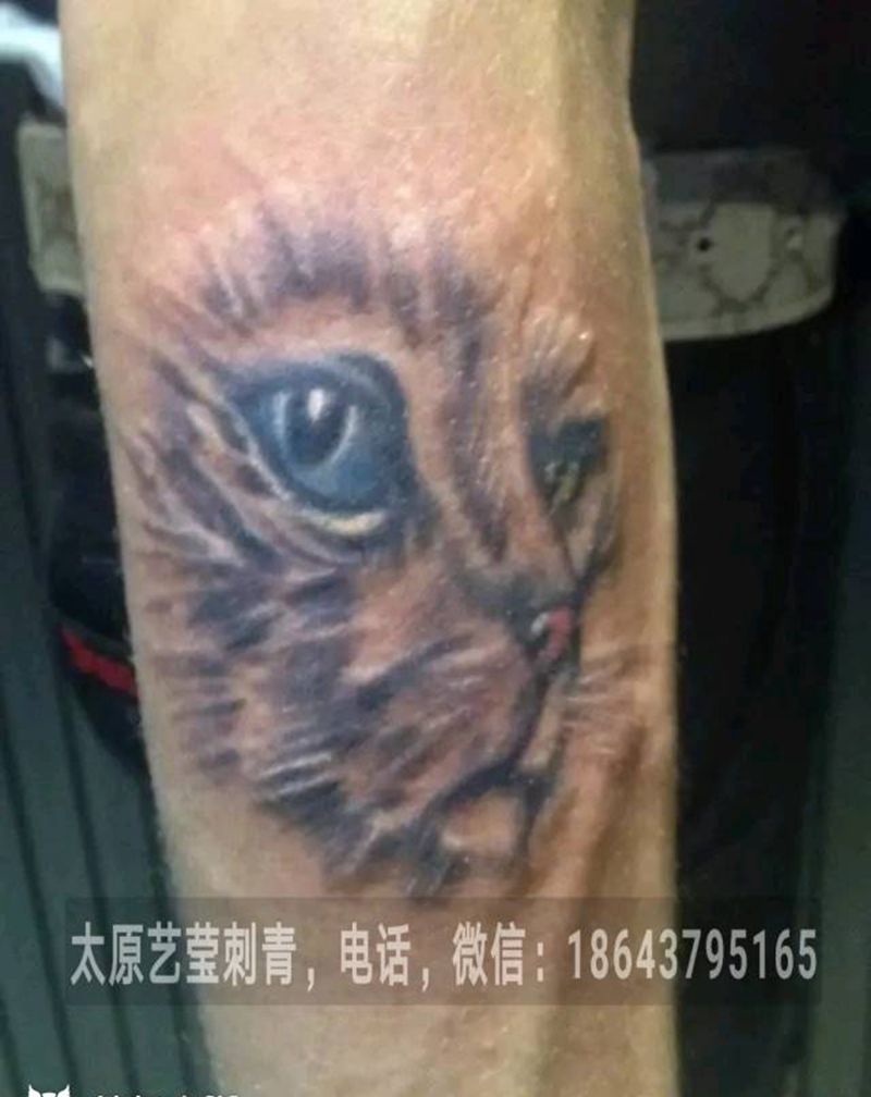 猫脸纹身图片_手臂欧美写实动物成品纹身图案