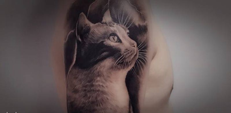 写实猫【根作品】纹身图片_手臂欧美写实猫原创纹身图案