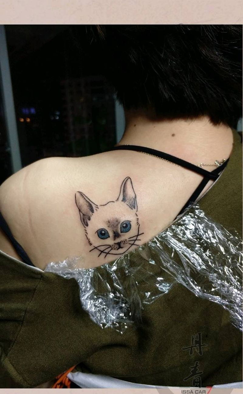 猫纹身图片_背部清新动物成品纹身图案