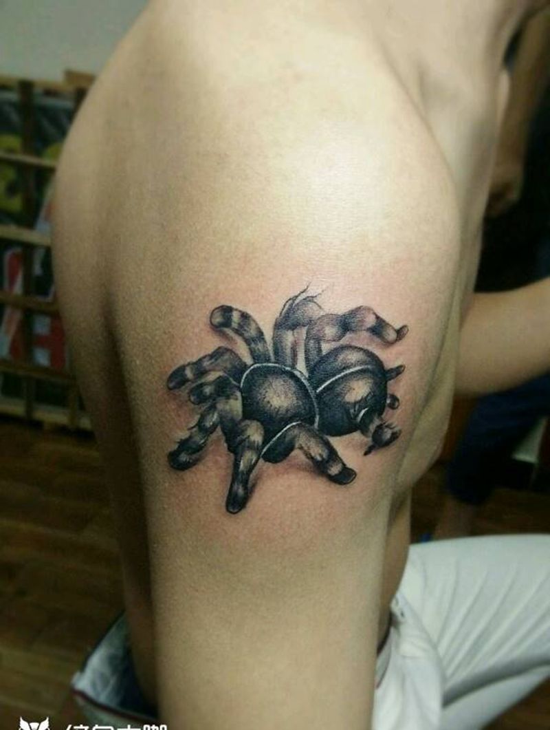 蜘蛛！纹身图片