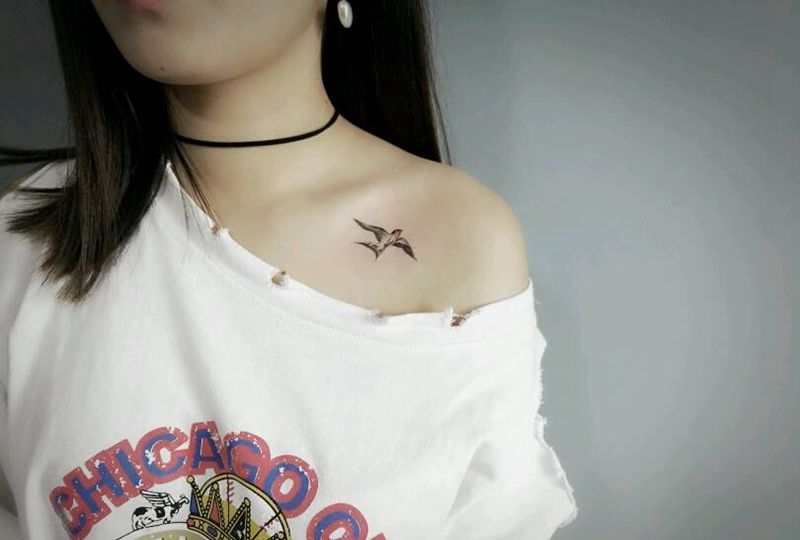 燕子纹身图片_胸部传统动物燕子成品纹身图案