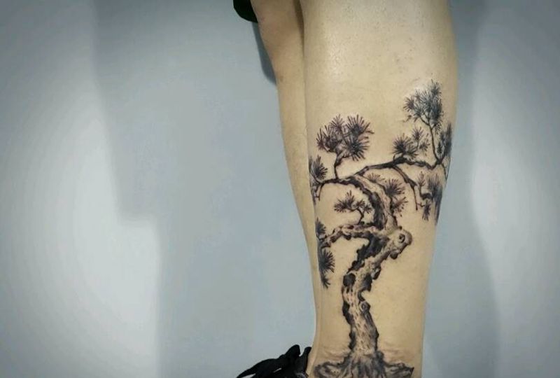 松纹身图片_腿部国画植物松树成品纹身图案