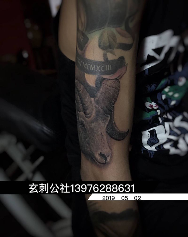 羊纹身图片_欧美写实纹身图案