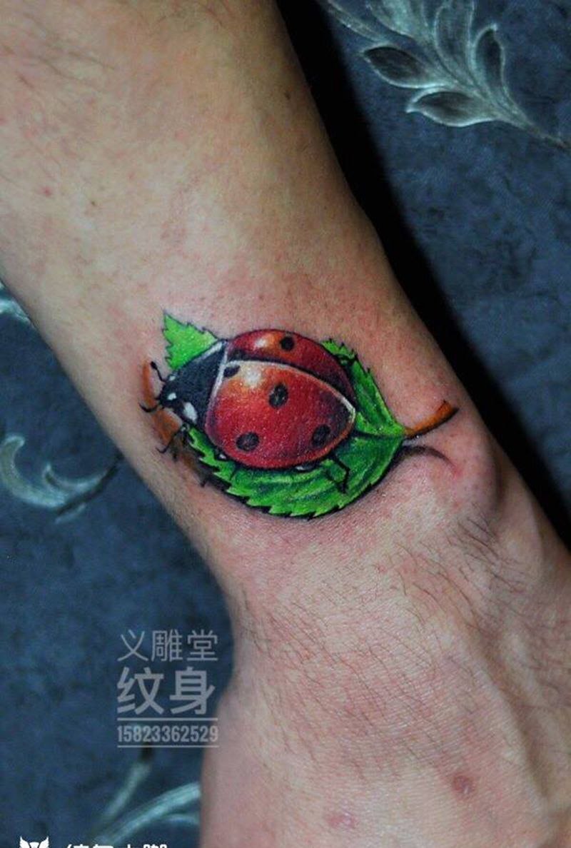 七星瓢虫纹身纹身图片_手部欧美写实重庆纹身图案