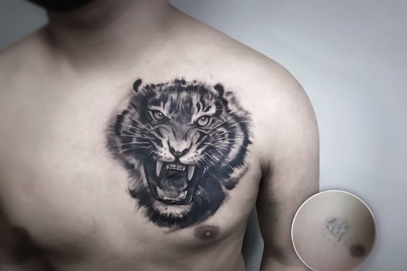 虎遮盖纹身图片_动物欧美胸部成品纹身图案