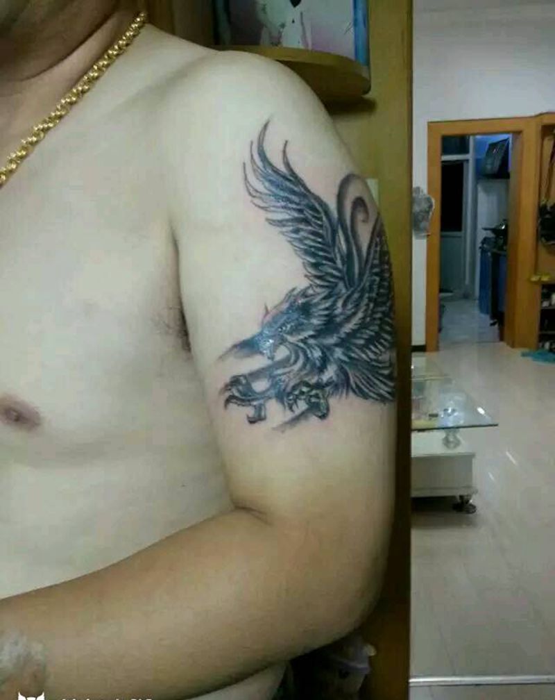 一只乌长出了美丽的羽毛纹身图片