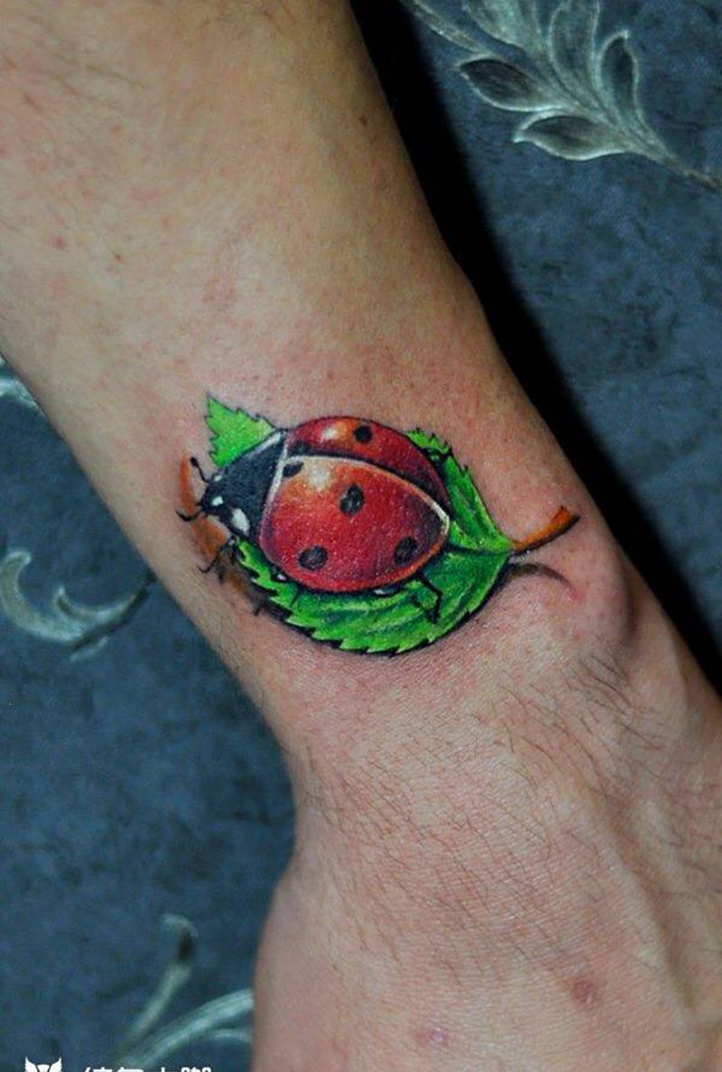 七星漂虫纹身纹身图片_动物tattoo纹身图案