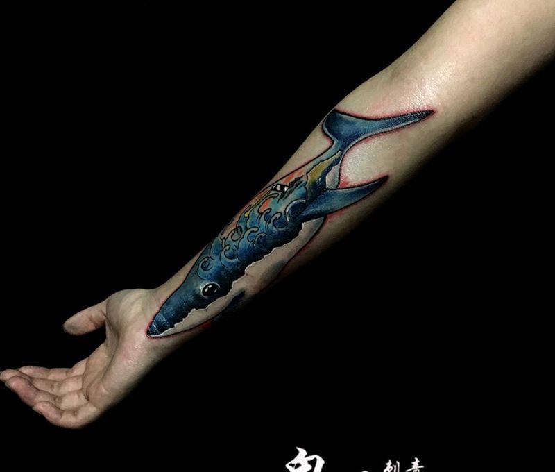 鲨鱼纹身图片_成品手臂欧美清新动物刺青纹身图案