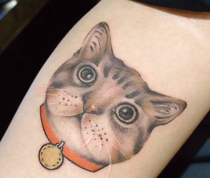 猫咪纹身图片_手臂水墨纹身图案