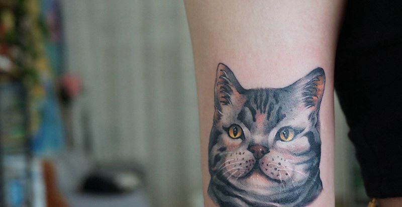 美短猫咪纹身纹身图片_手臂水墨猫咪纹身图案