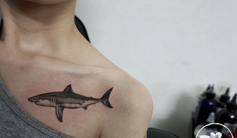 鲨鱼与翅膀纹身图片