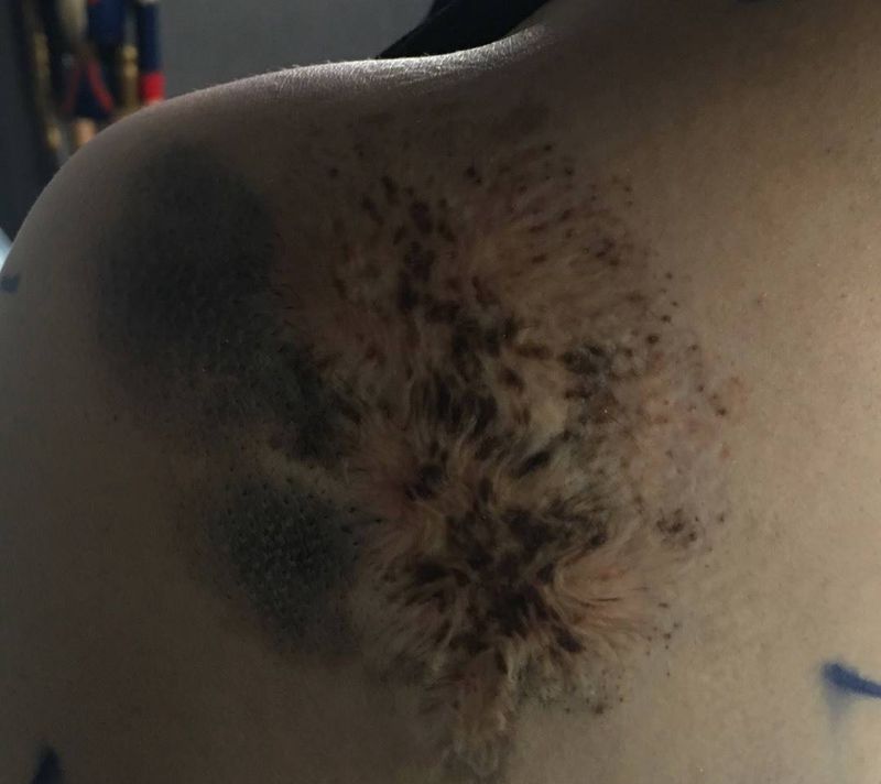 遮盖胎记纹身图片_成品背部欧美植物原创刺青鬼绣作品纹身图案