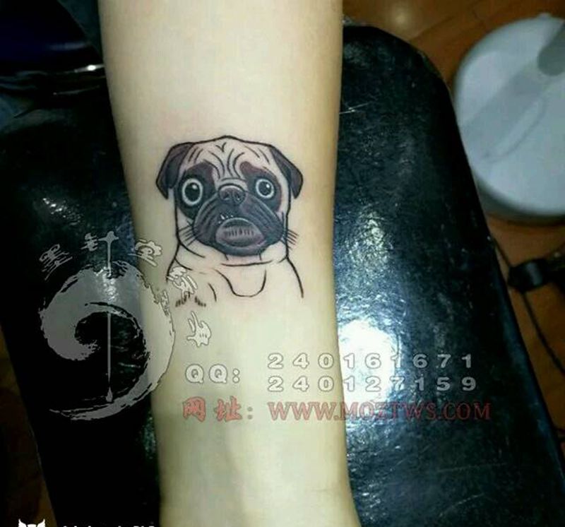 巴哥纹身图片
