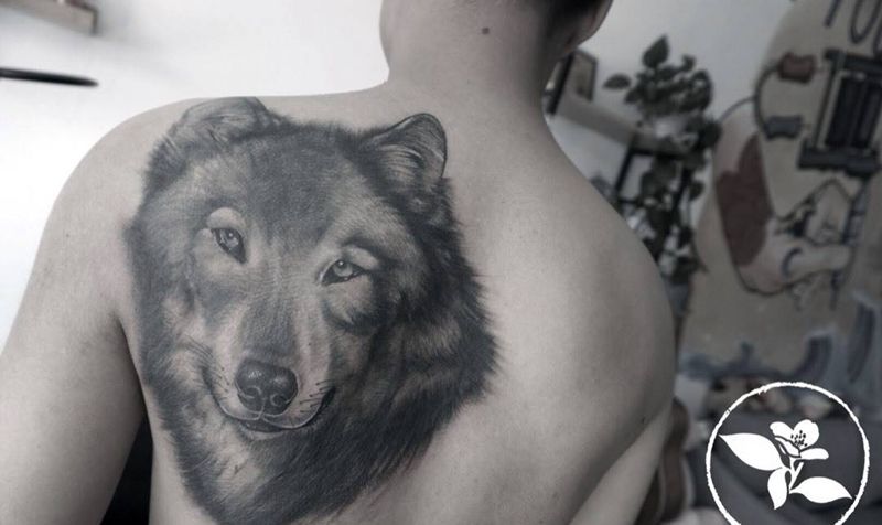 狼纹身图片