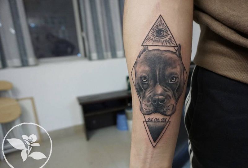 比特犬纹身图片