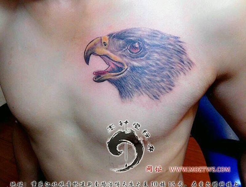 鹰头纹身图片