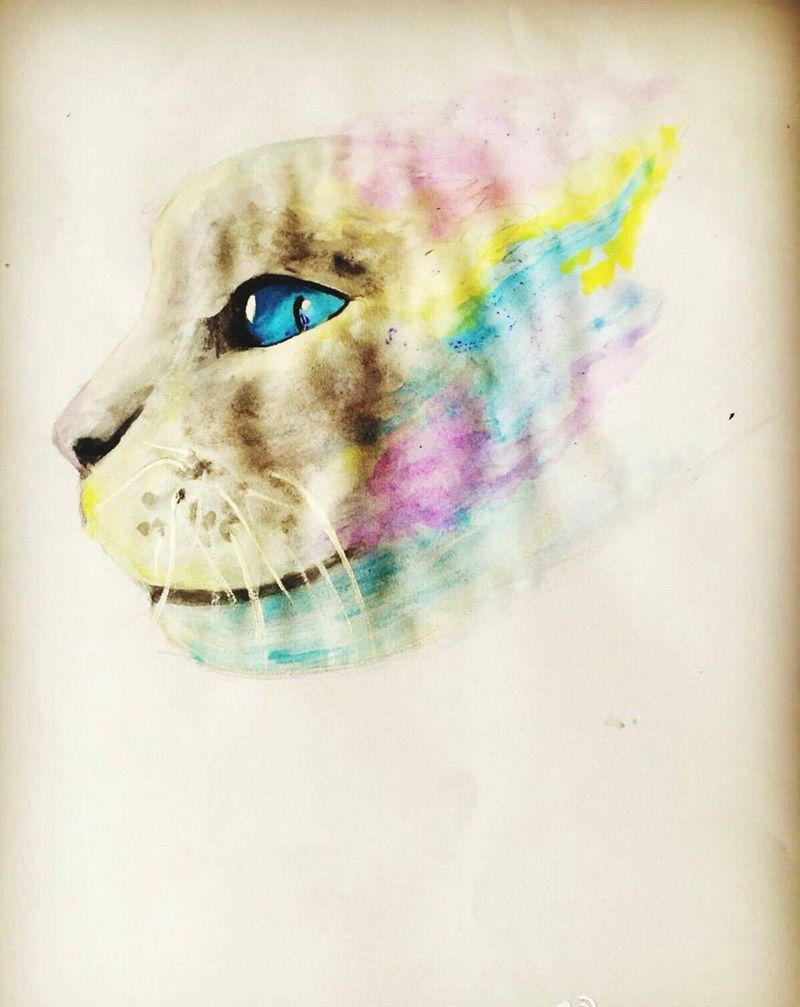 猫纹身图片_手稿清新动物插花纹身图案