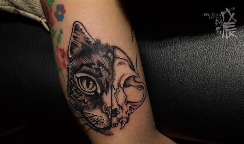 绝命毒师猫纹身图片_成品手臂欧美清新几何动物猫猫设计骷髅刺青纹身图案