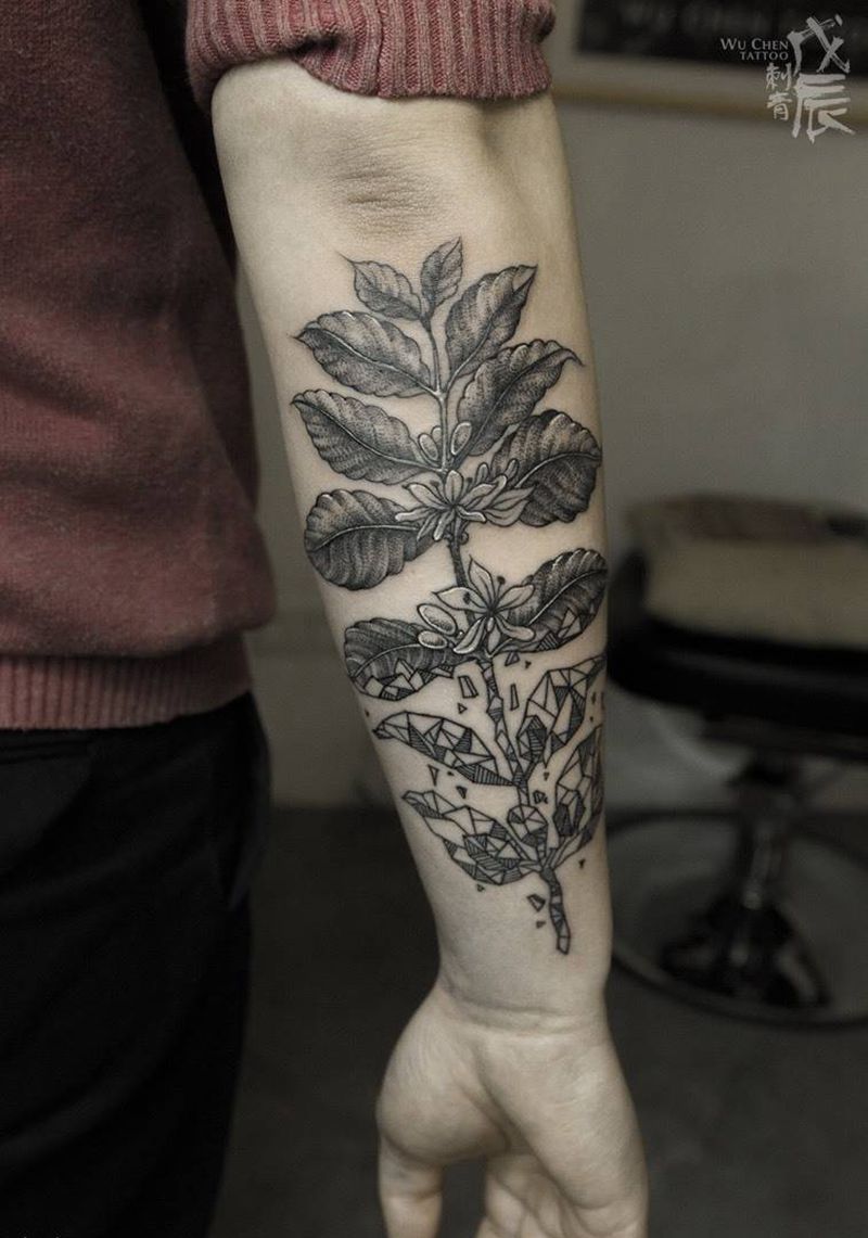 咖啡树纹身图片_成品手臂手部欧美几何植物素描咖啡树纹身图案