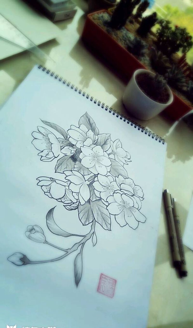 樱花纹身图片_肩部清新植物原创手稿纹身图案