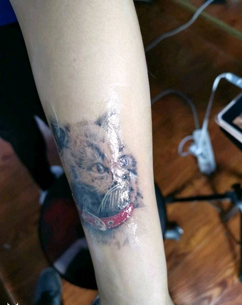 猫纹身图片_手臂纹身图案